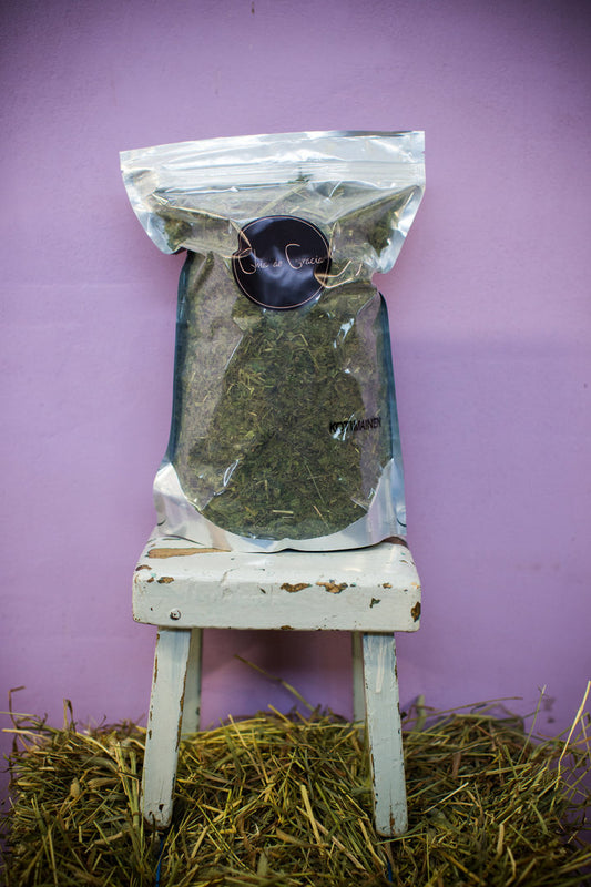 Finnish Cultivation Nettle (4167365754979)