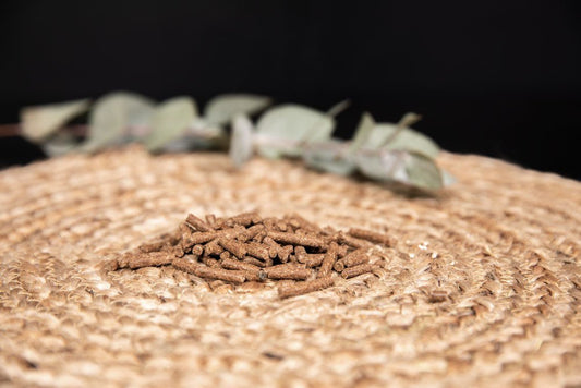 Bierhefe 1 kg (4167370276963)