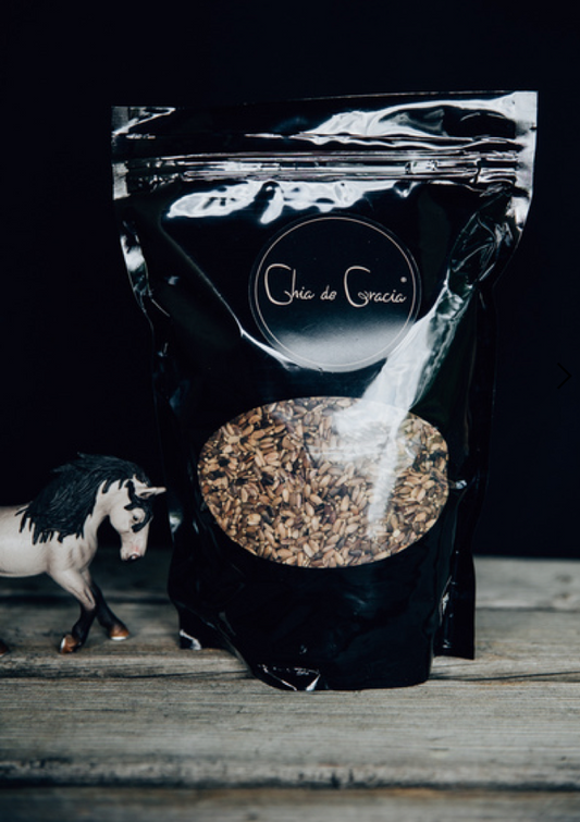 Mariendistelsamen 1 kg (4167367098467)