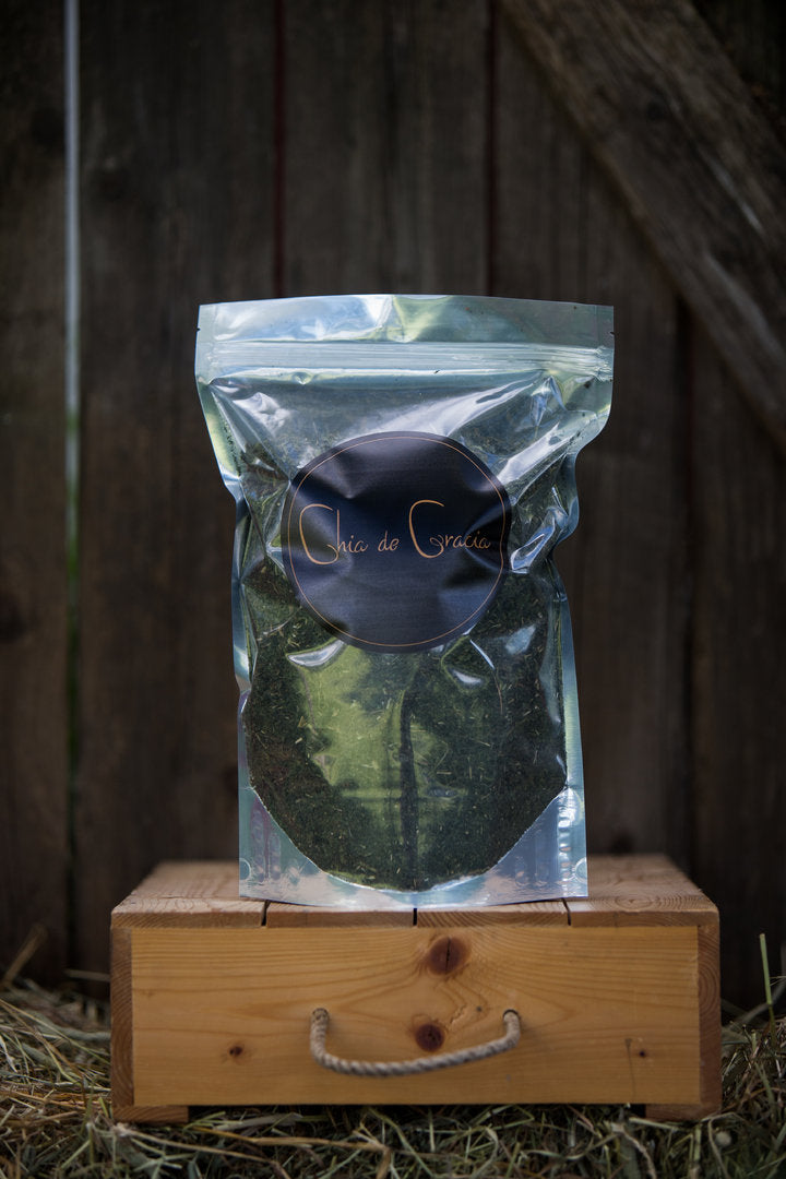 Brennnessel (4167371948131)